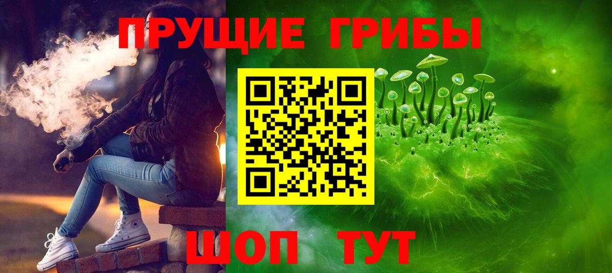 Сорочинск  Галлюциногенные грибы Psilocybe  Вход с VPN  Псилоцибиновые грибы Cubensis 